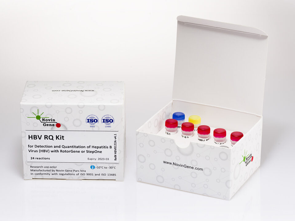 HBV RQ Kit