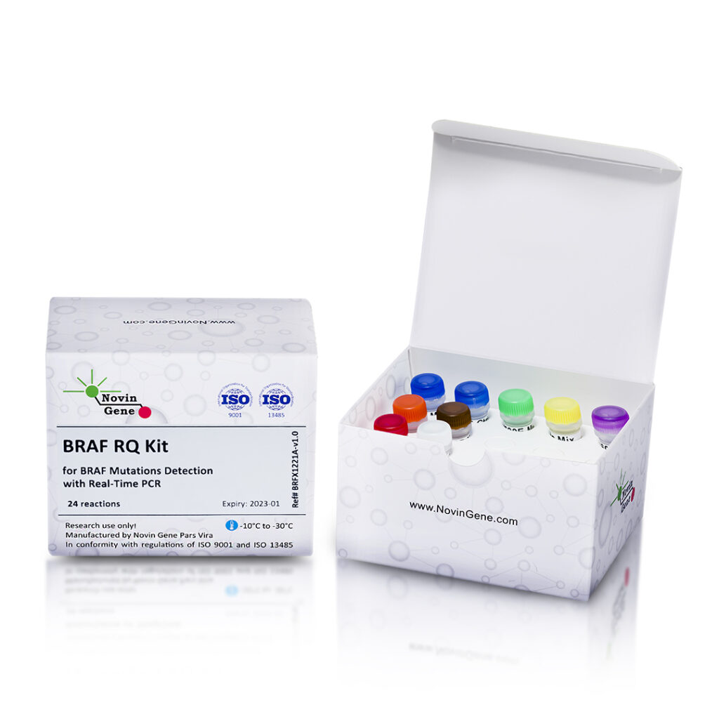 BRAF Mutations Detection Kit (P 2_8) * Novingene