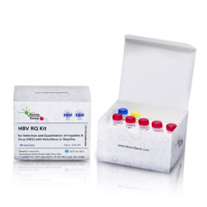 HBV RQ Kit