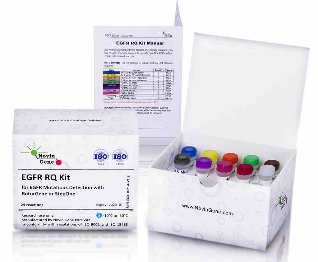 13-2-copy-e1668325320467